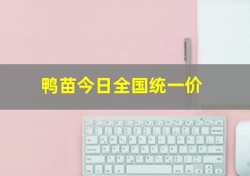 鸭苗今日全国统一价