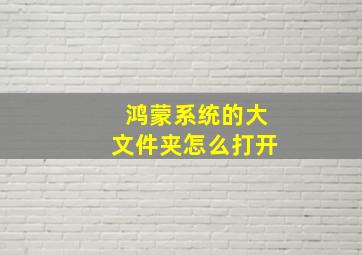 鸿蒙系统的大文件夹怎么打开