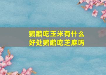 鹦鹉吃玉米有什么好处鹦鹉吃芝麻吗