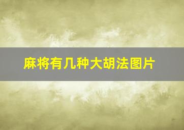 麻将有几种大胡法图片