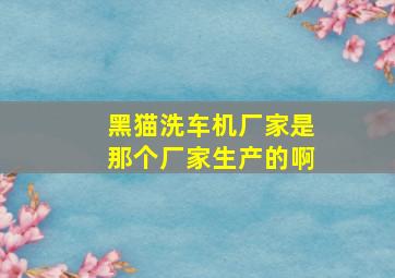 黑猫洗车机厂家是那个厂家生产的啊