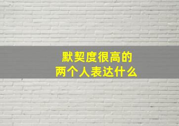 默契度很高的两个人表达什么